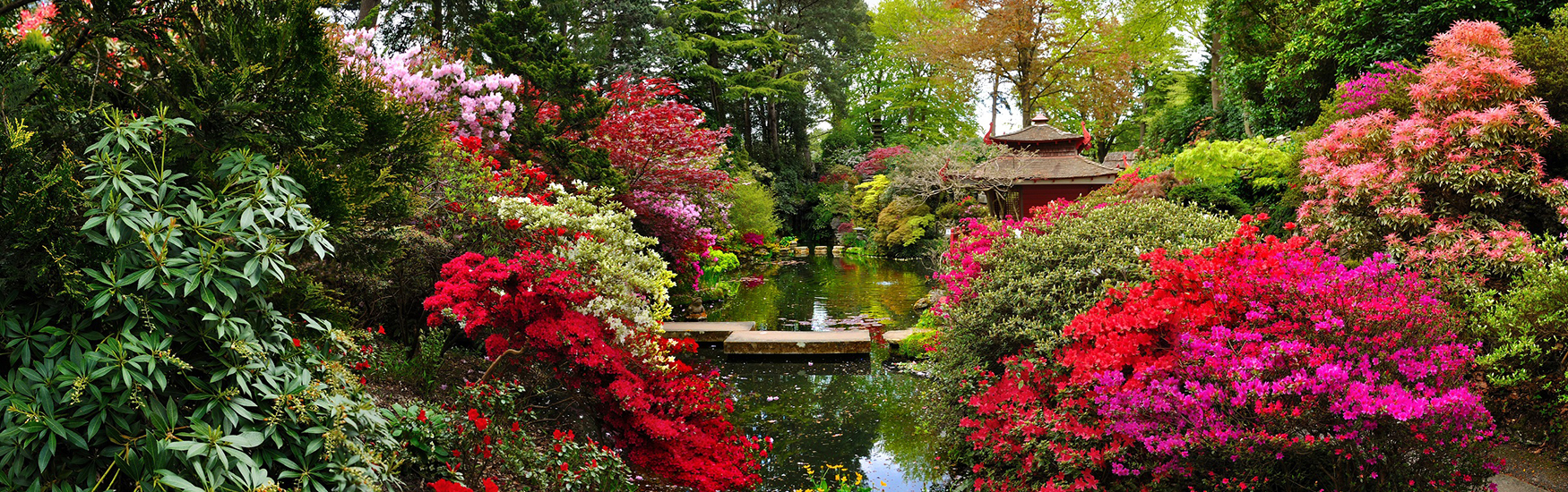 Tranquil scense at the Japenese garden in Comptons Acres Poole 